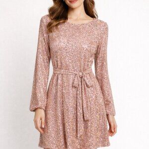Rare Editions Sequin Dress Long Sleeve Zipper Closure Blush Pink 16 New